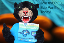 PCC Eco Panthers's avatar