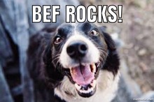 BEF Rocks!'s avatar