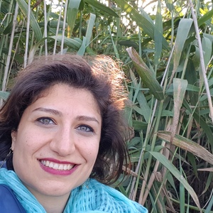 Sara Hadadpour's avatar